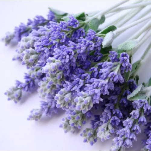 Lavender Hydrosol